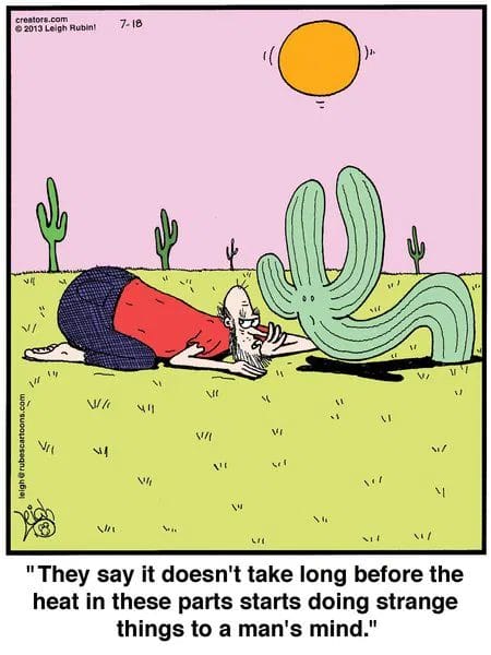 20-9 20 New Humor Cartoons Explode With Laughter The Best Panels of the Year