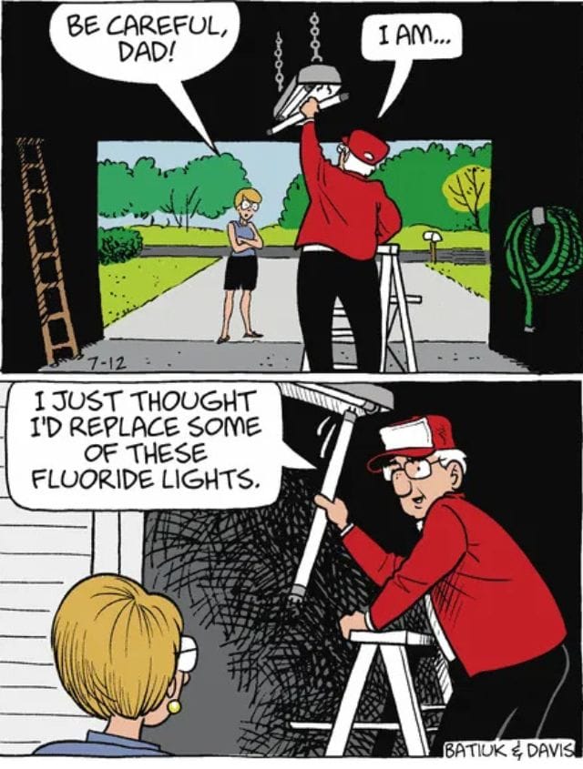 3-31 20 Comic Strip Humor Hits The Funniest Panels of All Time