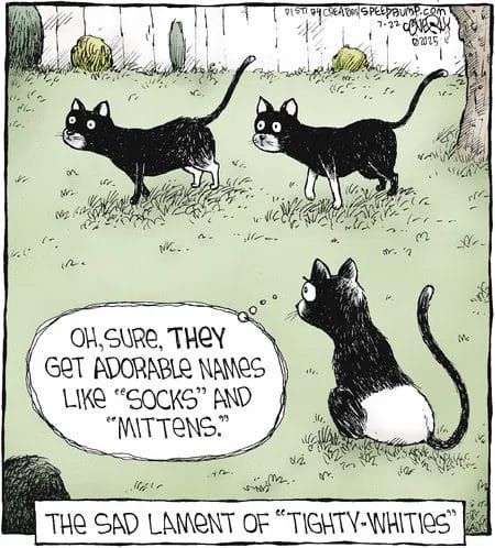 Today Best Comics