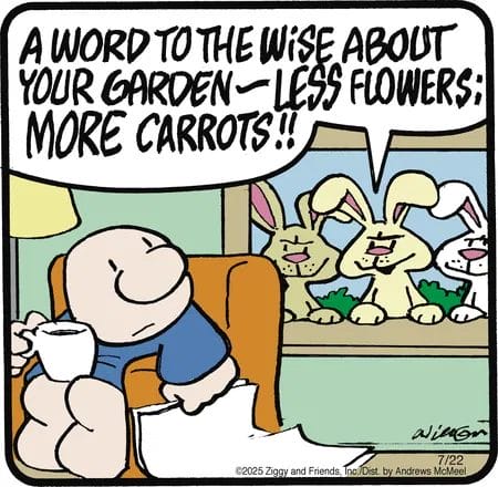 New Humor Comics