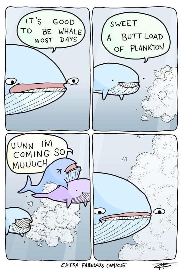 4-41 20 New Dark Humor Cartoons Why Extra Fabulous Comics Are Going Viral