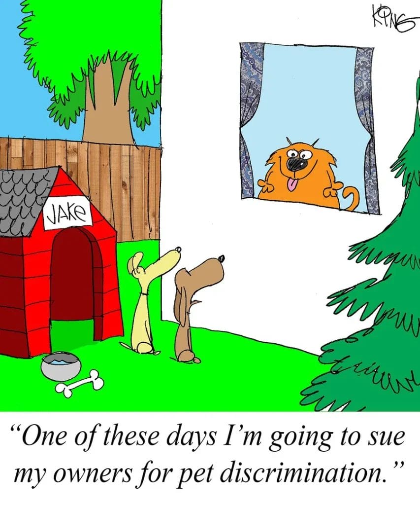 Daily Best Comics