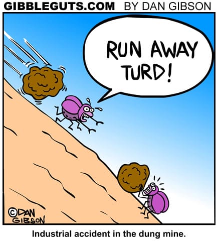 5-21 20 New Daily Comics Start Your Day with These Hilarious Strips