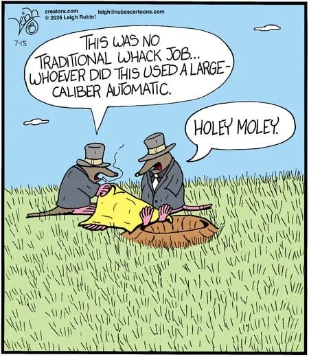 5-9 20 New Humor Cartoons Explode With Laughter The Best Panels of the Year