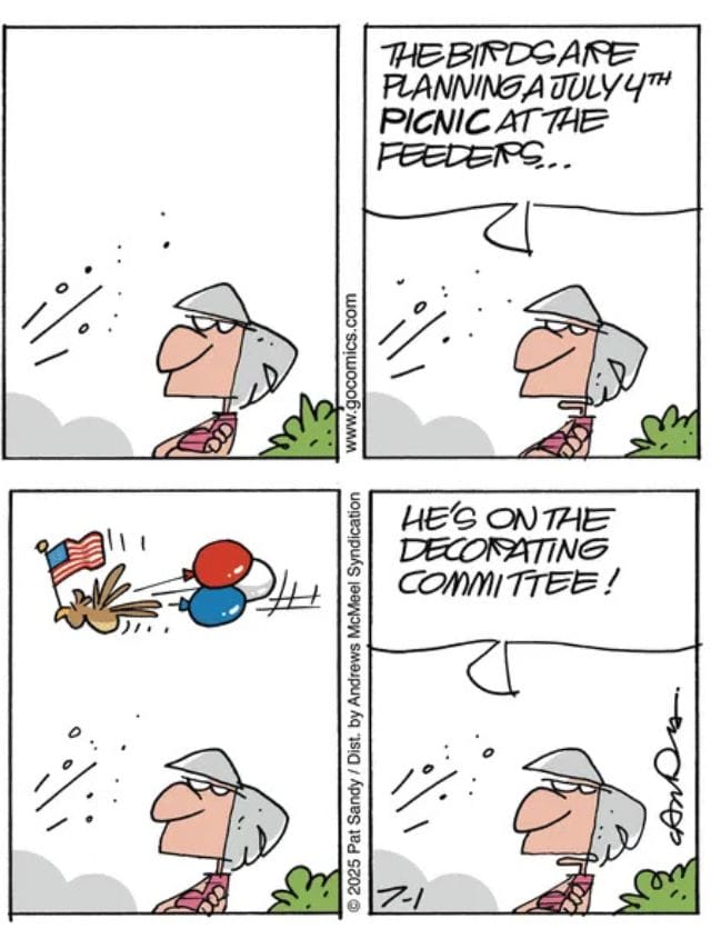 6-13 20 Daily Comic Strips Funniest Humor Comics for a Dose of Laughter