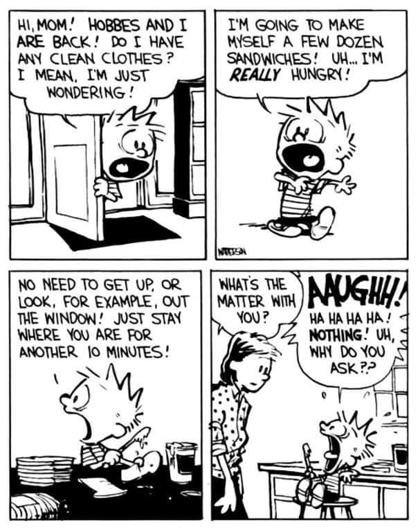 6 20 Hilarious Calvin and Hobbes Comics That Still Make Us Laugh Today