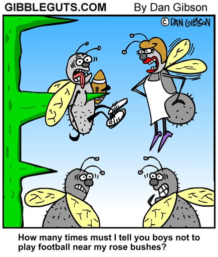 7-22 20 New Daily Comics Start Your Day with These Hilarious Strips