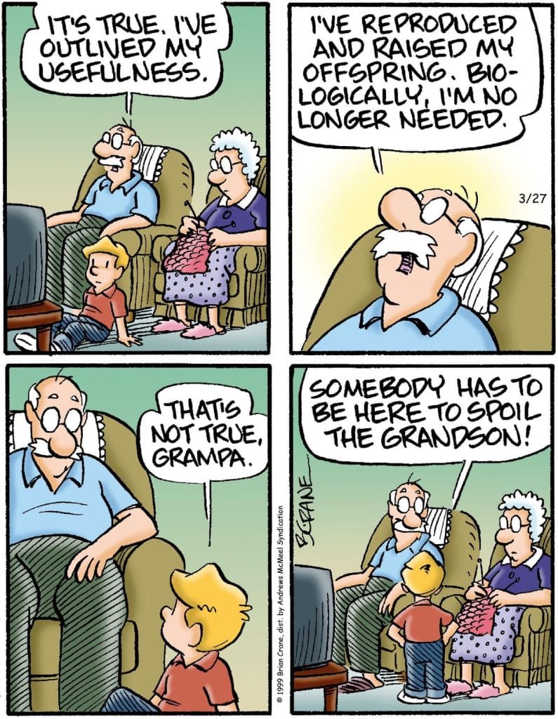 8-43-795x1024 20 Family Humor Cartoons for All Ages The Comic Strips Everyone Loves