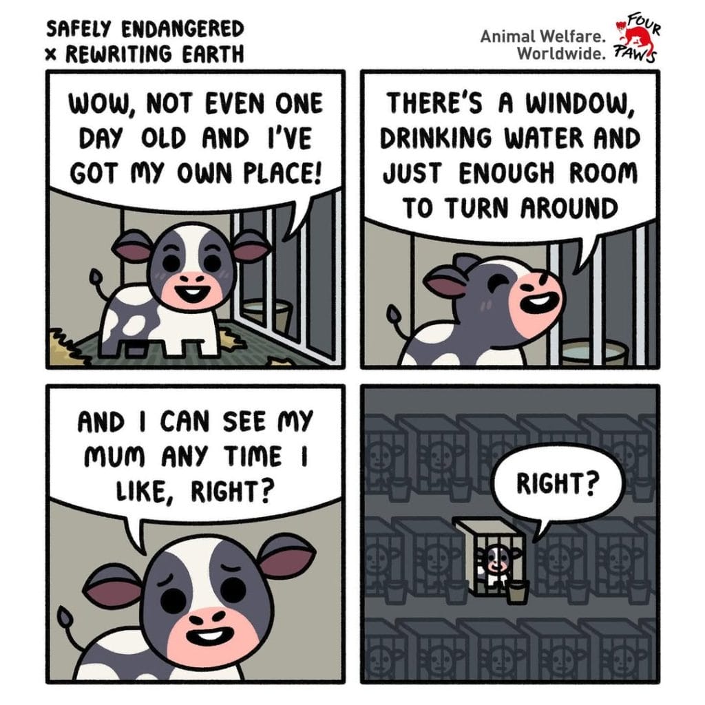 8-47-1024x1024 20 Hilarious Humor Comics That Prove Laughter Is the Best Medicine