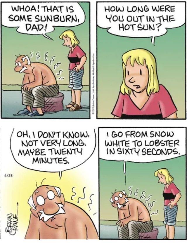 9-16 20 Best Family Comic Strips Reviewed, That Perfectly Capture Family Life