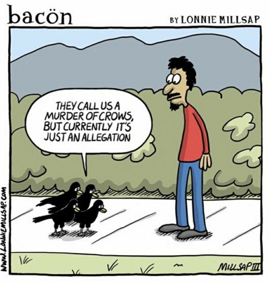 9-30 20 Best Webcomics With Big Laughs in Small Panels Curated by Bacon