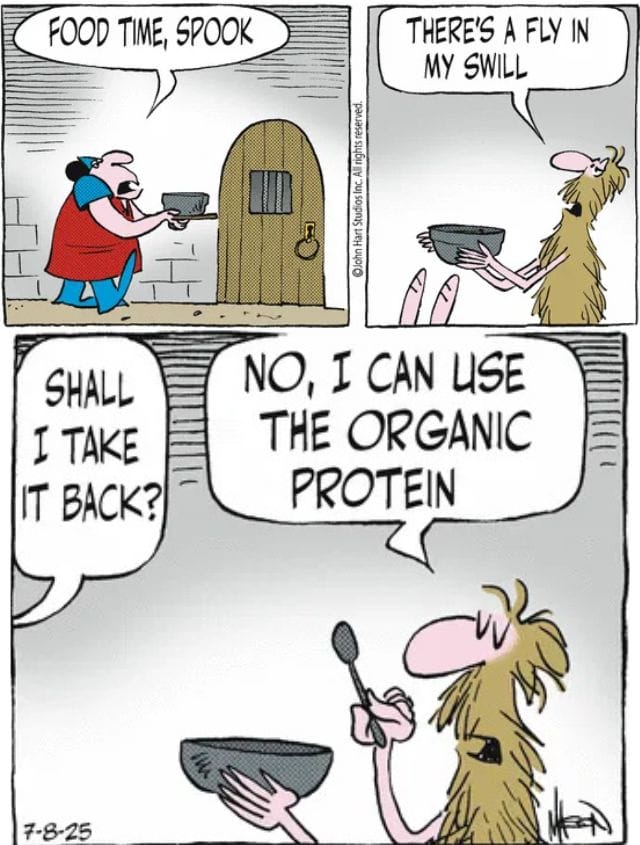 9-36 20 Best Hilarious Comics The Ultimate Daily Life Humor Mashup