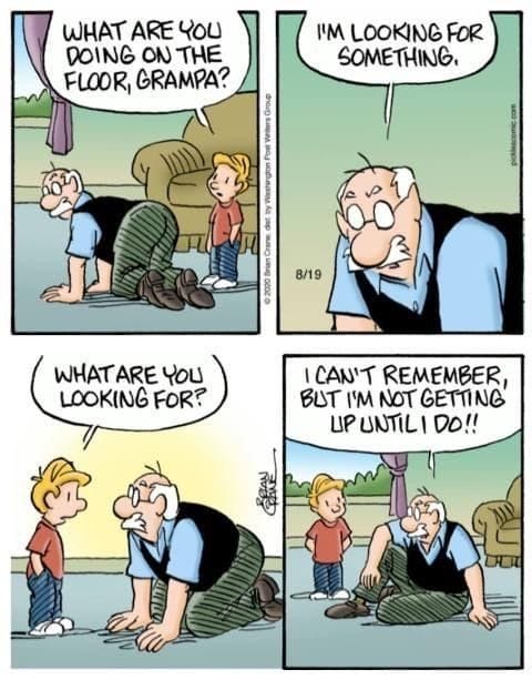 9-37 20 Family Humor Cartoons for All Ages The Comic Strips Everyone Loves