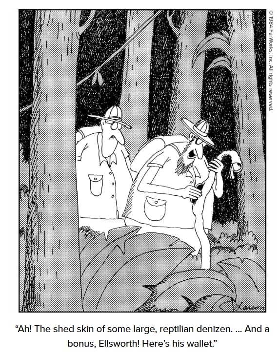 9-39 20 Weird Humor Comics Reviewed The Most Hilarious Cartoons of All Time