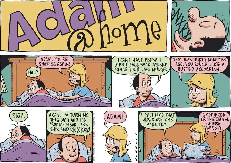 9-8 20 Best Comic Strips Online The Funniest Panels to Brighten Your Day