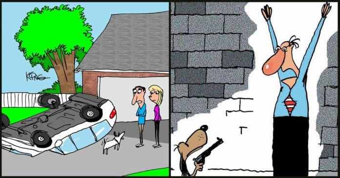 Daily Best Comics