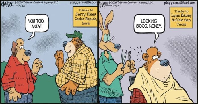 Everyday Humor Comics