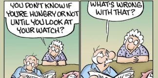 Family Humor Cartoons