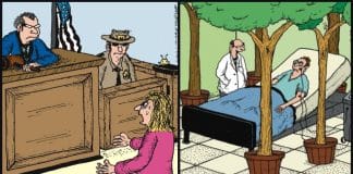 New Comics Humor