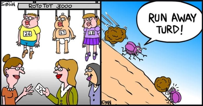 New Daily Comics