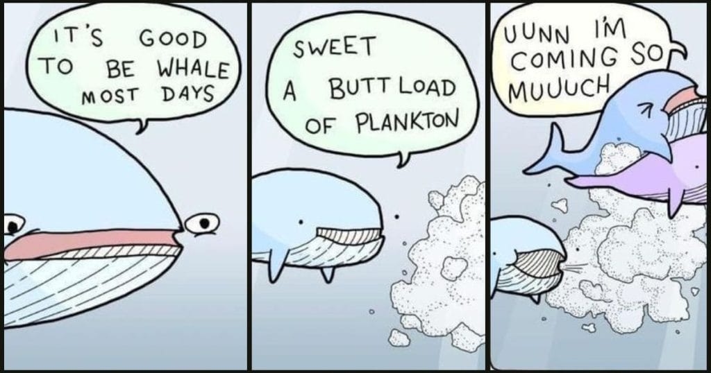 New Dark Humor Cartoons