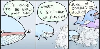 New Dark Humor Cartoons