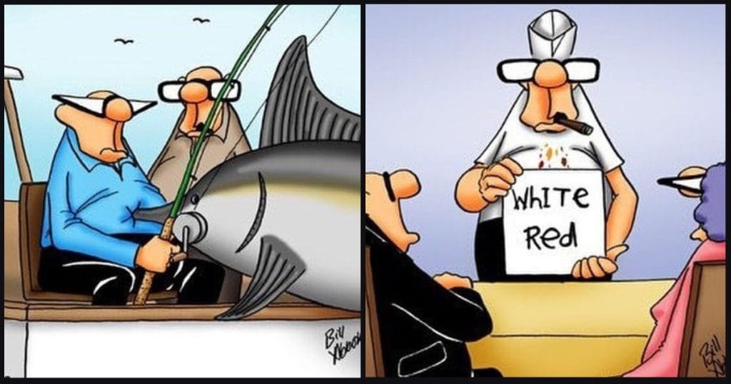 New Funny Cartoons