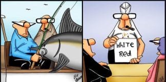 New Funny Cartoons
