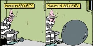 New Humor Cartoons