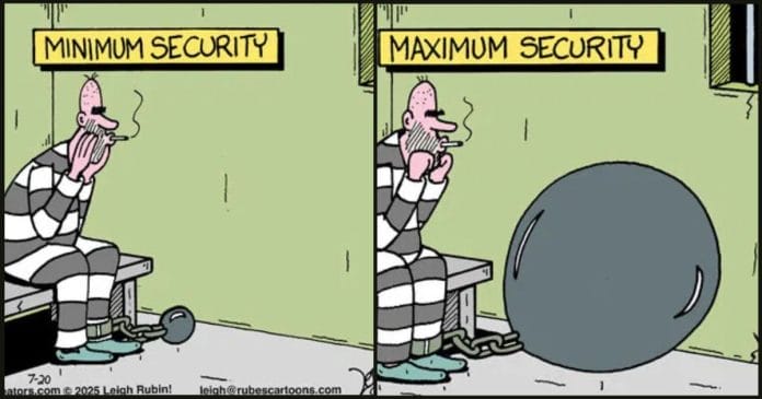 New Humor Cartoons