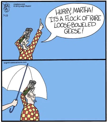New Cartoon Humor