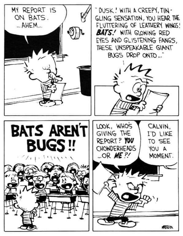 Family Humor Comics