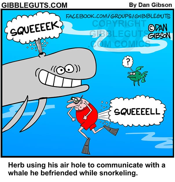 Senior Humor Comics