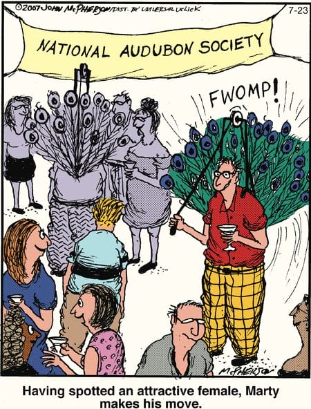 Best Humor Cartoons