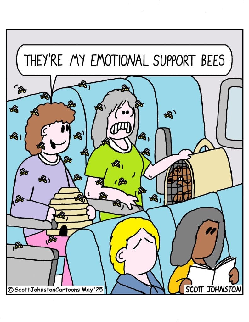 Best Humor Comics