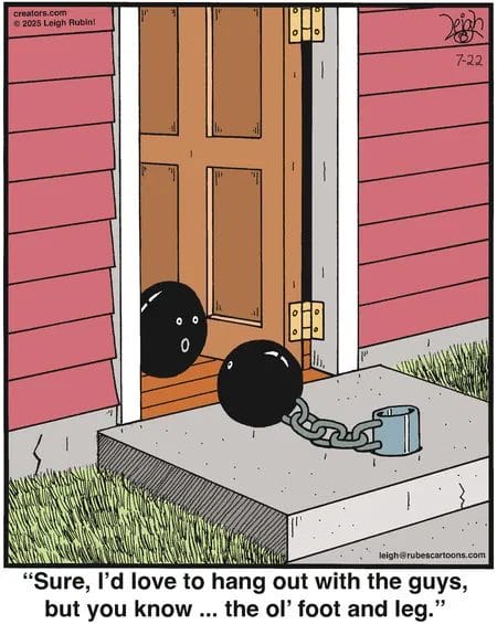 New Cartoon Humor