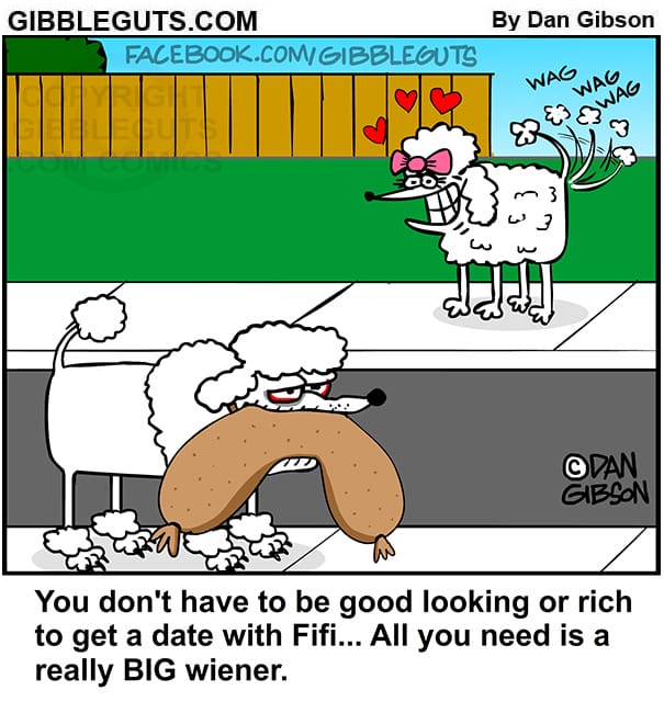 Senior Humor Comics
