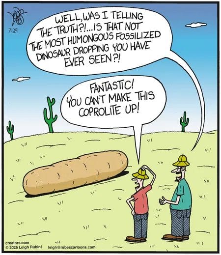New Cartoon Humor