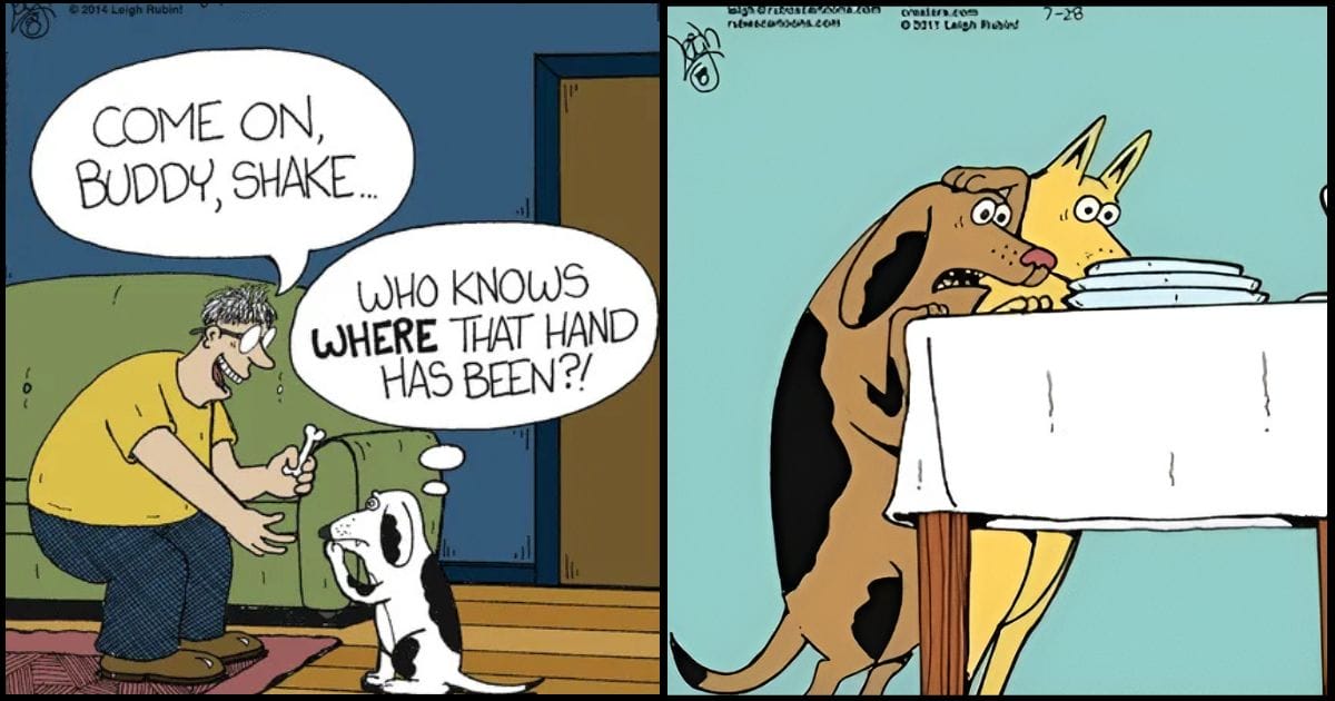 Funny Daily Cartoon